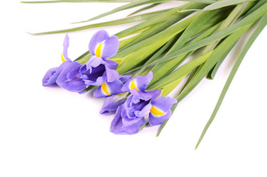 Similar image 6178388