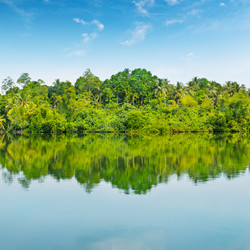 Similar image 6178402