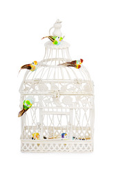 Similar image 6178421