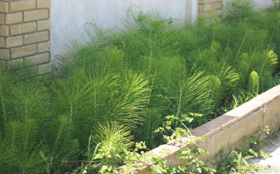 Similar image 6179143