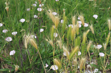 Similar image 6179148