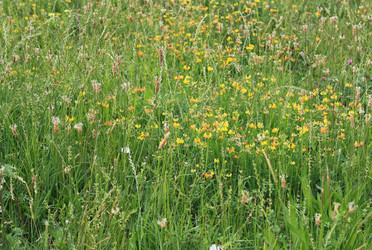 Similar image 6179149