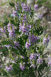 Similar image 6179153