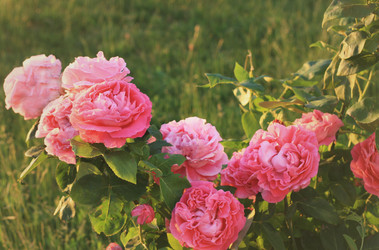 Similar image 6179166