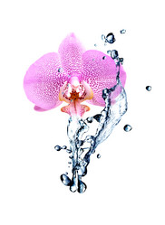 Similar image 6179183