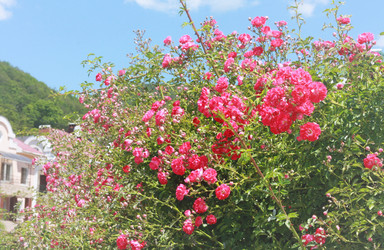 Similar image 6179185