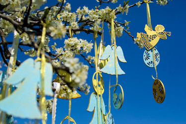 Similar image 6179248