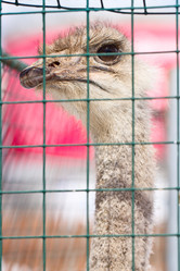 Similar image 6179263