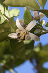 Similar image 6179325