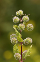 Similar image 6179326