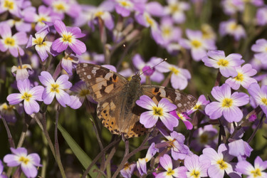 Similar image 6179327