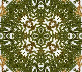 Similar image 6179522