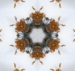 Similar image 6179523