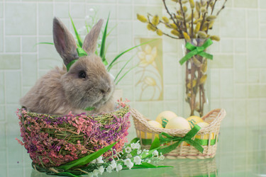 Similar image 6179528