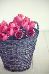 Similar image 6179546