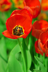 Similar image 6179670