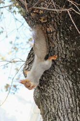 Similar image 6179692