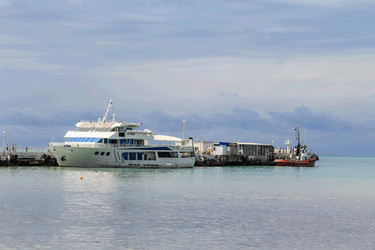 Similar image 6179697