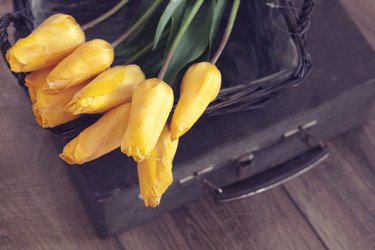 Similar image 6179811