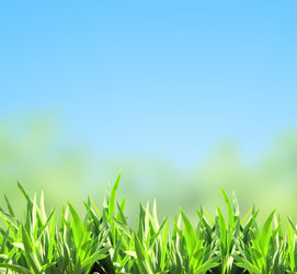 Similar image 6179854