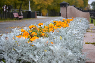 Similar image 6179888