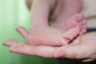 Similar image 6179890