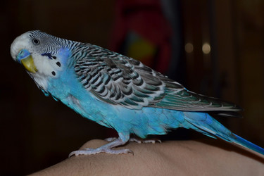 Similar image 6179891