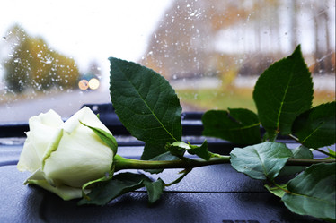 Similar image 6179899