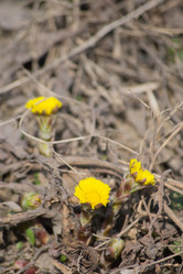 Similar image 6179919