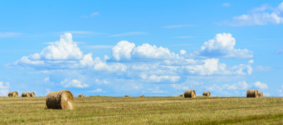 Similar image 6179972