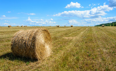 Similar image 6179973