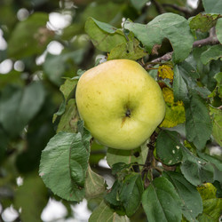 Similar image 6179974