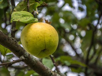 Similar image 6179975