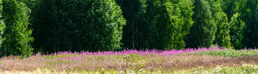 Similar image 6179977