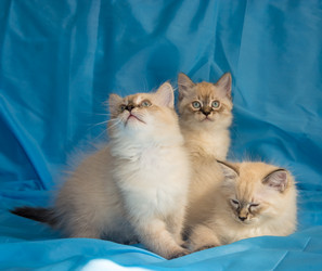 Similar image 6179979