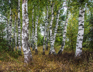 Similar image 6180001