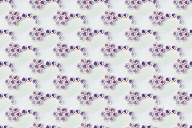 Similar image 6180017