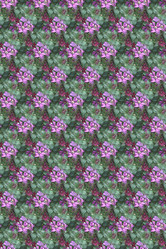 Similar image 6180043