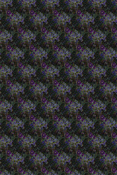 Similar image 6180050