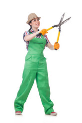 Similar image 6180300