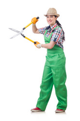 Similar image 6180301