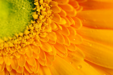 Similar image 6180779