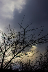 Similar image 6180792