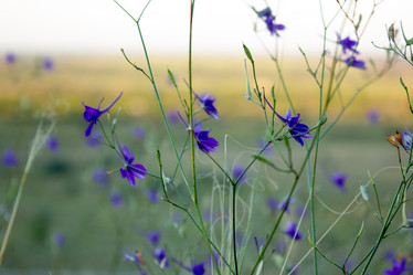 Similar image 6180794