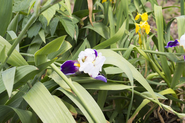 Similar image 6180813