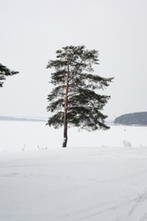 Similar image 6180815