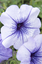 Similar image 6180817