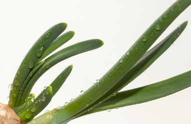 Similar image 6180826