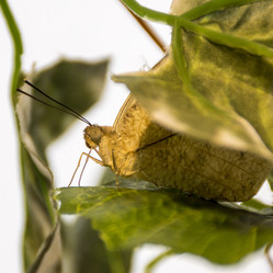 Similar image 6180829