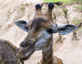 Similar image 6180834